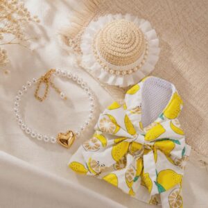 Lemon Princess Complete Look